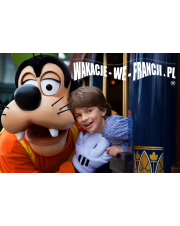 BILET DO DISNEYLANDU DATOWANY  1 DZIEŃ 2 PARKI - ULGOWY  (3-11 lat)