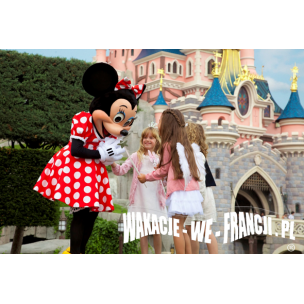 BILET DO DISNEYLANDU DATOWANY 1 DZIEŃ 2 PARKI - NORMALNY